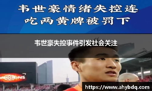 韦世豪失控事件引发社会关注